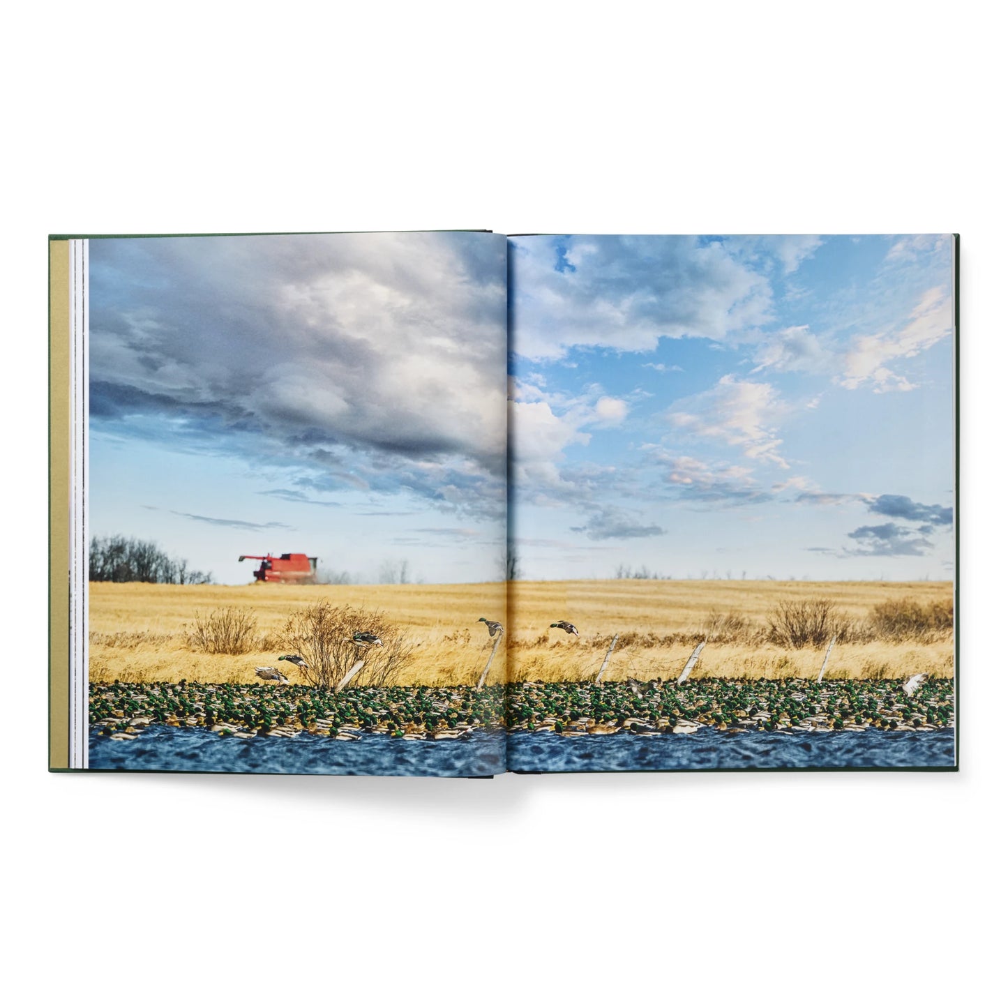 Ducks Coffee Table Book - US 6505