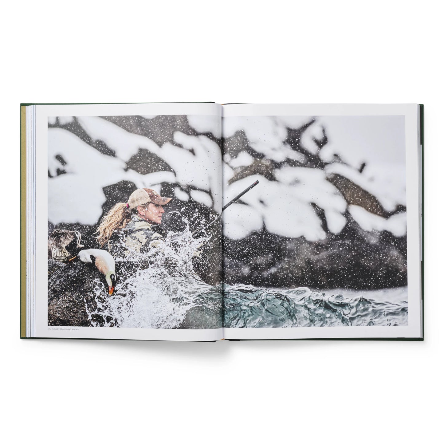 Ducks Coffee Table Book - US 6505