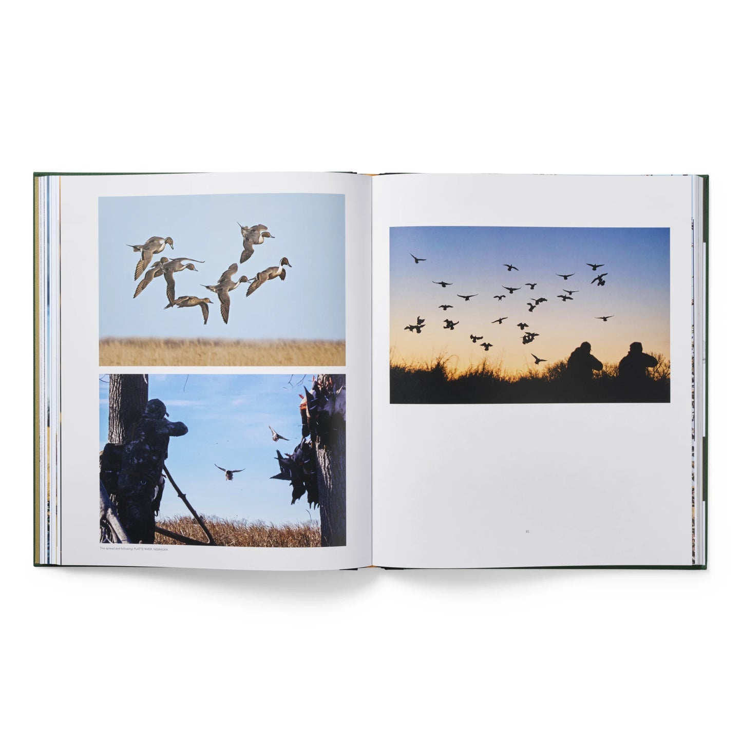 Ducks Coffee Table Book - US 6505